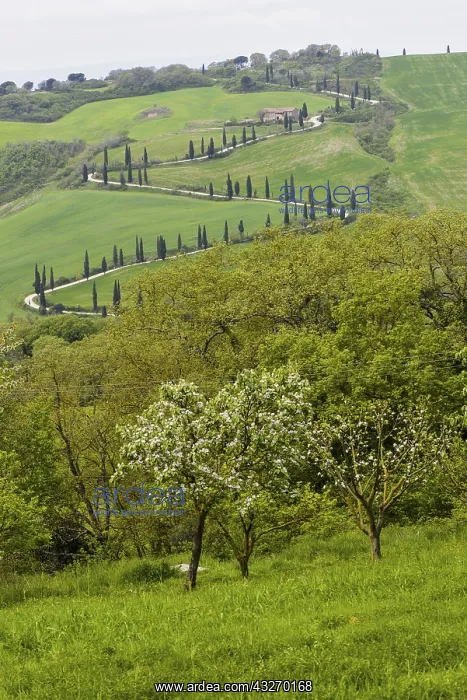 : Geografie, Italien, Chiarentana, Toskana, Italien : Geografie, Italien, Chiarentana, Toskana, Italien