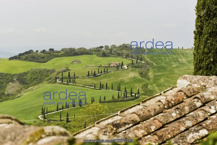 : Geografie, Italien, Chiarentana, Toskana, Italien : Geografie, Italien, Chiarentana, Toskana, Italien