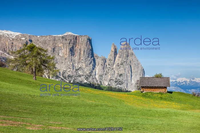 : Geografie, Italien, Die Seiser Alm : Geografie, Italien, Die Seiser Alm