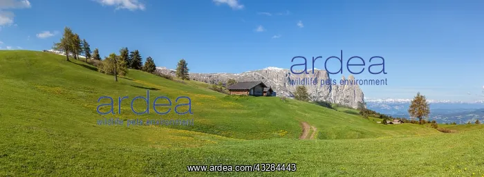 : Geografie, Italien, Die Seiser Alm : Geografie, Italien, Die Seiser Alm