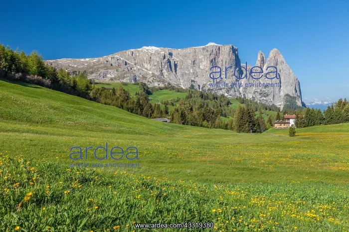 : Geografie, Italien, Die Seiser Alm : Geografie, Italien, Die Seiser Alm