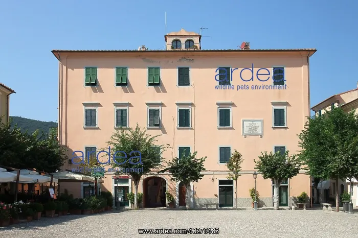 : Geografie, Italien, Elba, Marciana Marina, Altstadt : Geografie, Italien, Elba, Marciana Marina, Altstadt