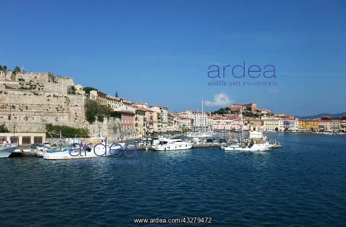 : Geografie, Italien, Elba, Portoferraio, Stadtansicht : Geografie, Italien, Elba, Portoferraio, Stadtansicht