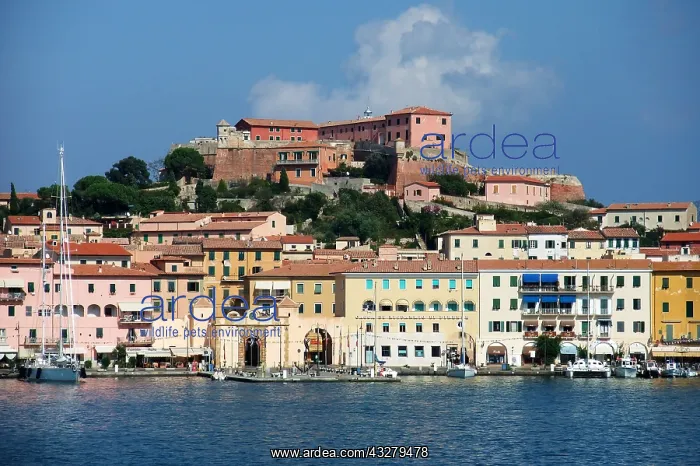 : Geografie, Italien, Elba, Portoferraio, Stadtansicht : Geografie, Italien, Elba, Portoferraio, Stadtansicht