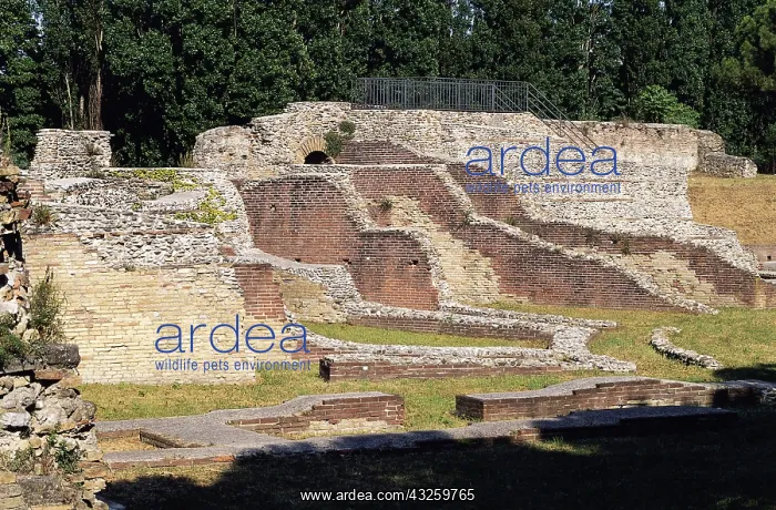 : Geografie, Italien, Emilia-Romagna, Rimini, Geb&x4d64;e : Geografie, Italien, Emilia-Romagna, Rimini, Geb&x4d64;e