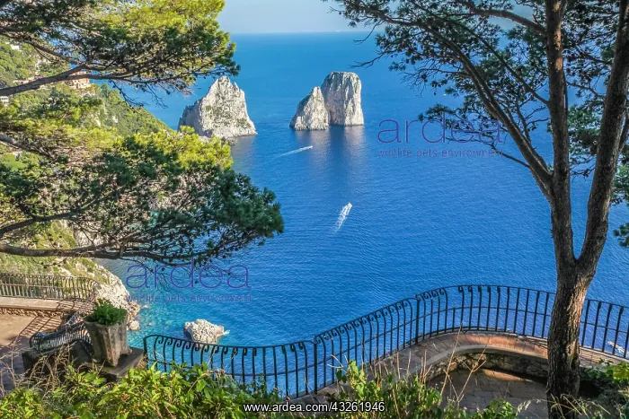 : Geografie, Italien, Faraglioni-Felsen auf Capri : Geografie, Italien, Faraglioni-Felsen auf Capri