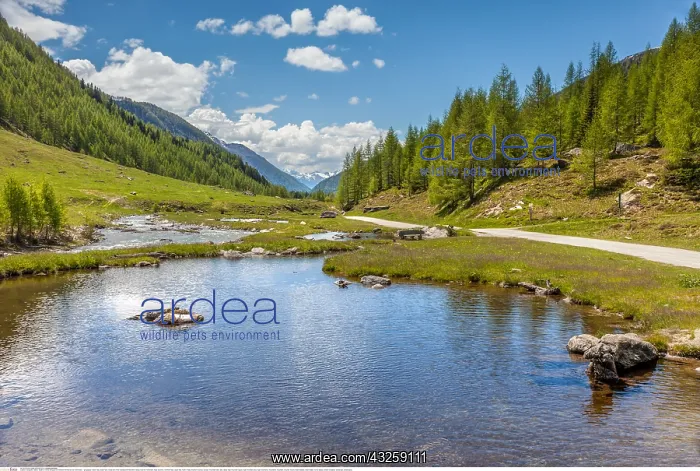 : Geografie, Italien, Kleiner Bergsee : Geografie, Italien, Kleiner Bergsee