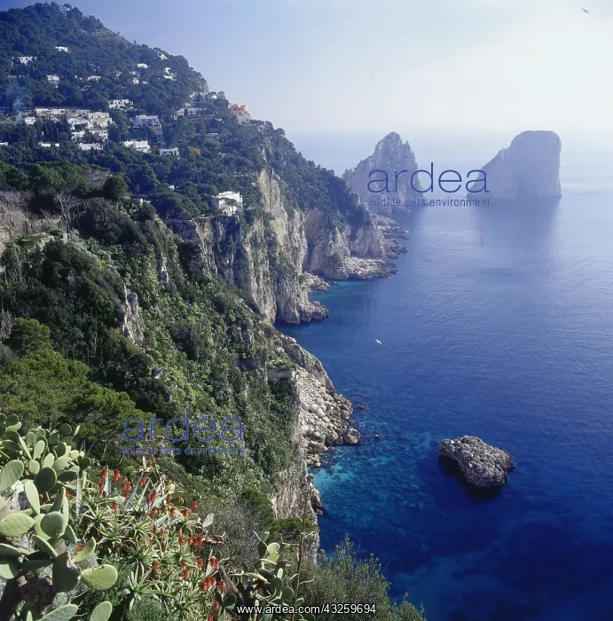 : Geografie, Italien, Landschaften, Inseln, Capri : Geografie, Italien, Landschaften, Inseln, Capri
