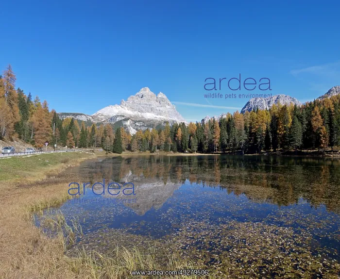 : Geografie, Italien, Landschaften, Lago di Misorine : Geografie, Italien, Landschaften, Lago di Misorine