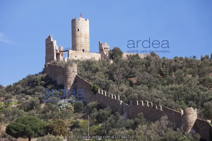 : Geografie, Italien, Ligurien, Riviera, Noli, Castell : Geografie, Italien, Ligurien, Riviera, Noli, Castell