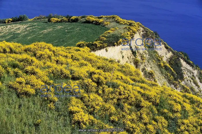 : Geografie, Italien, Marche, Landschaften, Strada : Geografie, Italien, Marche, Landschaften, Strada