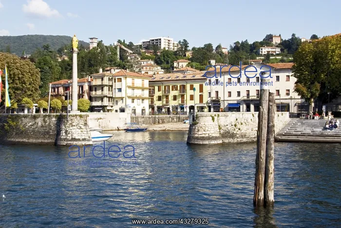 : Geografie, Italien, Norditalien, Lago Maggiore : Geografie, Italien, Norditalien, Lago Maggiore
