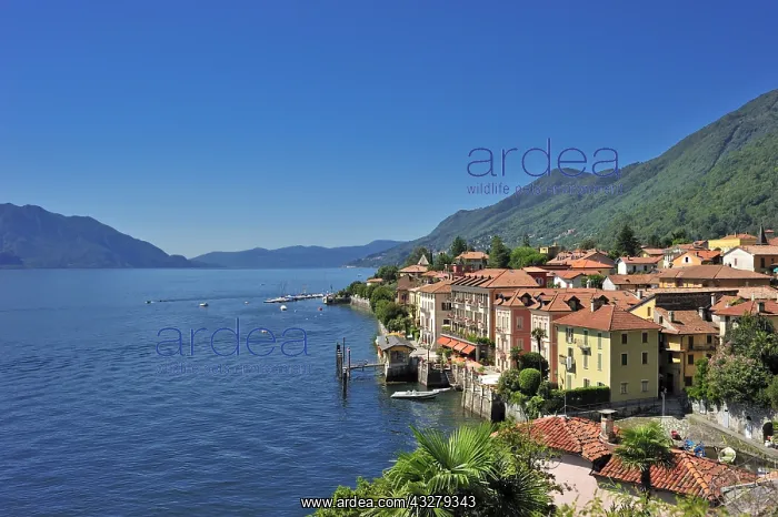 : Geografie, Italien, Piemont, Cannero Riviera, Ortsansicht : Geografie, Italien, Piemont, Cannero Riviera, Ortsansicht