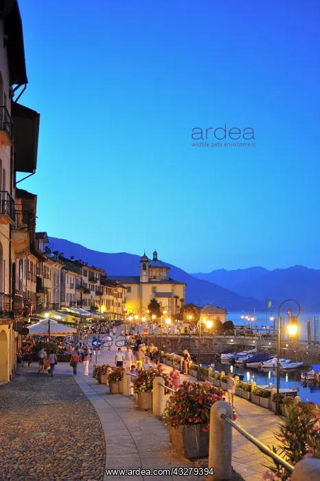  : Geografie, Italien, Piemont, Cannobio, Uferpromenade