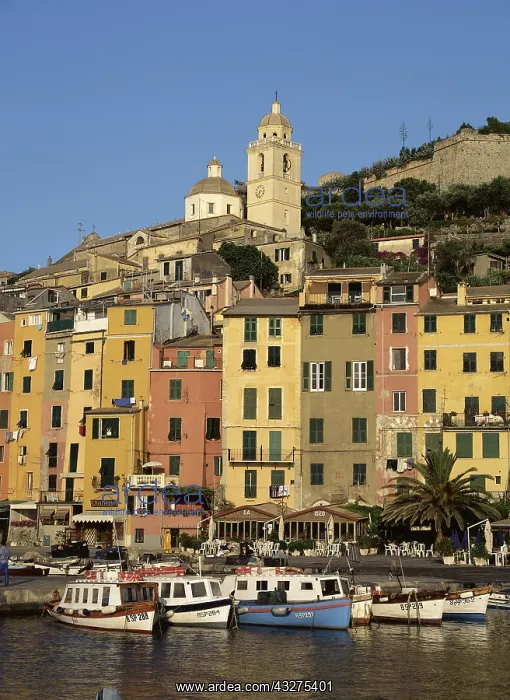 : Geografie, Italien, Portovenere, Stadtansichten : Geografie, Italien, Portovenere, Stadtansichten