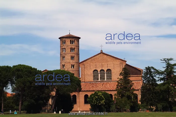 : Geografie, Italien, Ravenna, Classe, Kirchen, Kirche : Geografie, Italien, Ravenna, Classe, Kirchen, Kirche