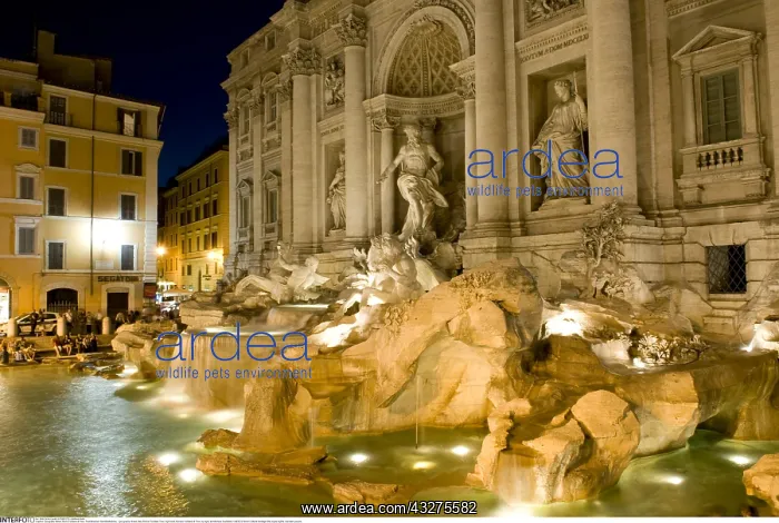 : Geografie, Italien, Rom, Fontana di Trevi, Trevi-Brunnen : Geografie, Italien, Rom, Fontana di Trevi, Trevi-Brunnen