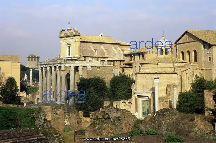 : Geografie, Italien, Rom, Foren, Forum Romanum, Tempel : Geografie, Italien, Rom, Foren, Forum Romanum, Tempel