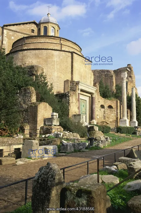 : Geografie, Italien, Rom, Foren, Forum Romanum, Tempel : Geografie, Italien, Rom, Foren, Forum Romanum, Tempel