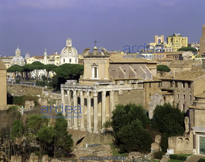: Geografie, Italien, Rom, Foren, Forum Romanum, Tempel : Geografie, Italien, Rom, Foren, Forum Romanum, Tempel
