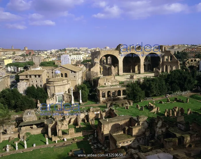 : Geografie, Italien, Rom, Foren, Forum Romanum, Tempel : Geografie, Italien, Rom, Foren, Forum Romanum, Tempel