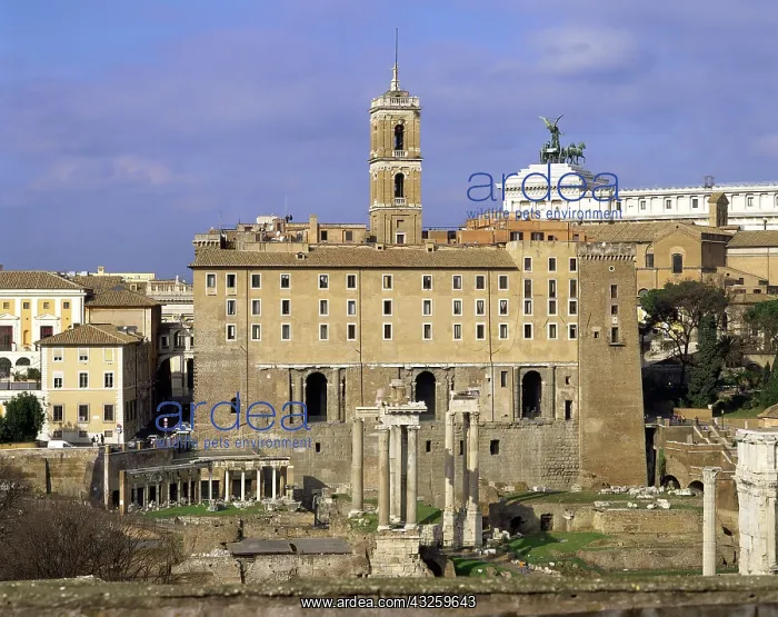 : Geografie, Italien, Rom, Forum Romanum, Kapitol : Geografie, Italien, Rom, Forum Romanum, Kapitol