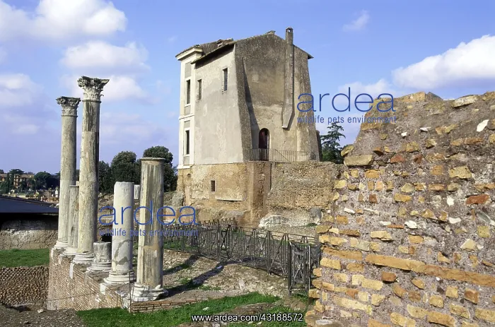 : Geografie, Italien, Rom, Palatin, Ausgrabungen : Geografie, Italien, Rom, Palatin, Ausgrabungen