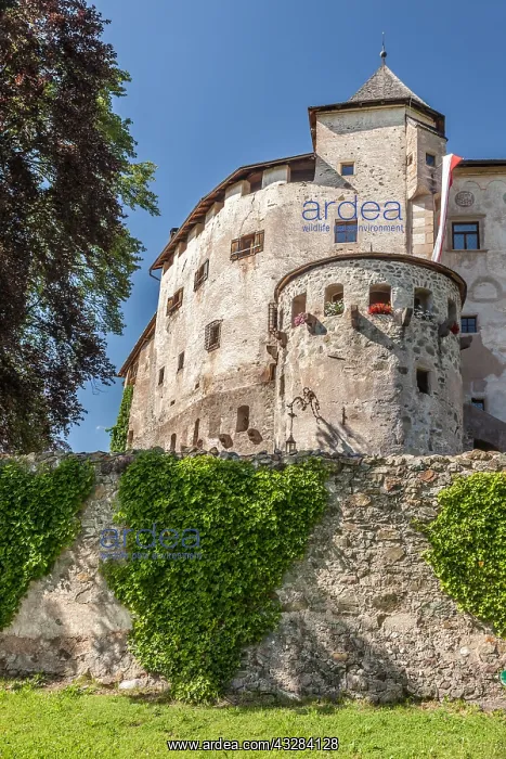 : Geografie, Italien, Schloss Pr&x1ce5;ls : Geografie, Italien, Schloss Pr&x1ce5;ls