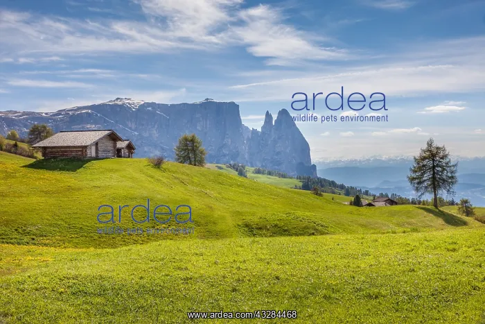 : Geografie, Italien, Seiser Alm mit : Geografie, Italien, Seiser Alm mit