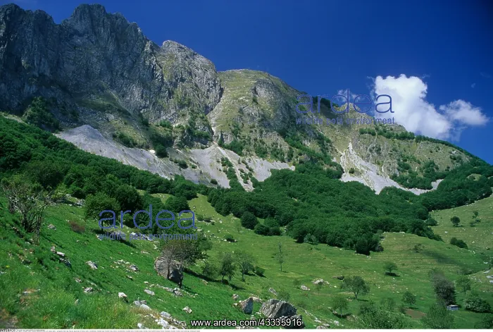 : Geografie, Italien, Toskana, Apuanische Alpen, am : Geografie, Italien, Toskana, Apuanische Alpen, am