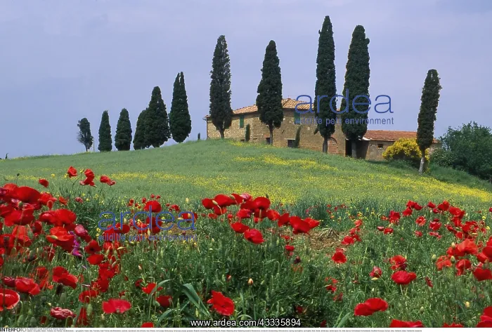 : Geografie, Italien, Toskana, bei Pienza, Villa Belvedere : Geografie, Italien, Toskana, bei Pienza, Villa Belvedere