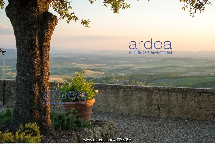 : Geografie, Italien, Toskana, Castellina in Chianti : Geografie, Italien, Toskana, Castellina in Chianti