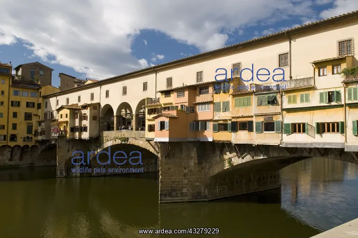 : Geografie, Italien, Toskana, Florenz, Ponte Vecchio : Geografie, Italien, Toskana, Florenz, Ponte Vecchio