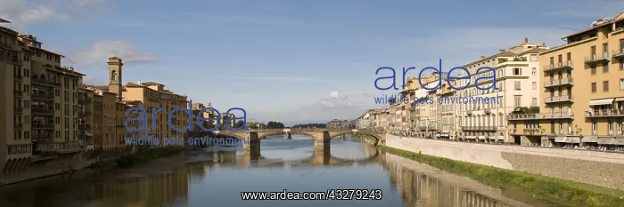 : Geografie, Italien, Toskana, Florenz, Stadtpanorama : Geografie, Italien, Toskana, Florenz, Stadtpanorama