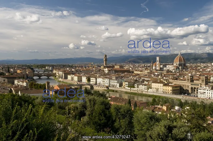 : Geografie, Italien, Toskana, Florenz, Ausblick : Geografie, Italien, Toskana, Florenz, Ausblick