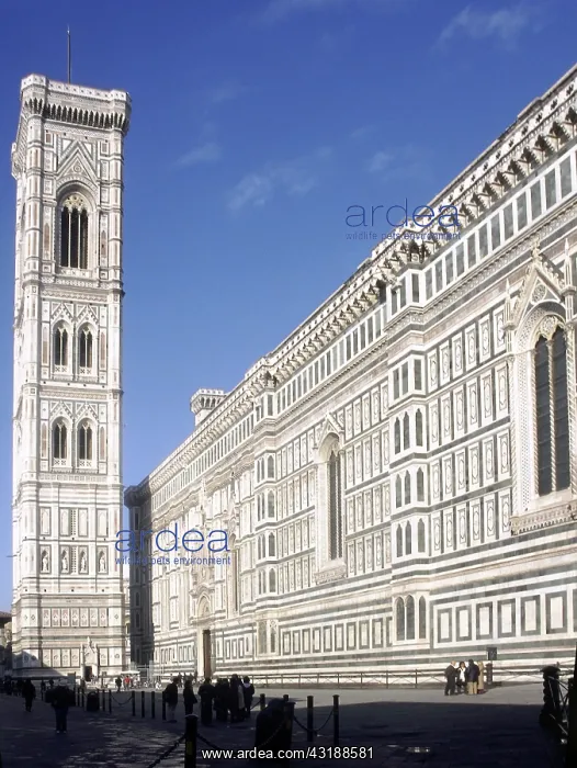 : Geografie, Italien, Toskana, Florenz, Kirchen, Dom : Geografie, Italien, Toskana, Florenz, Kirchen, Dom