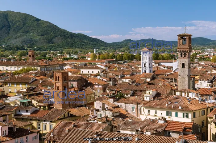 : Geografie, Italien, Toskana, Lucca, Ausblick vom : Geografie, Italien, Toskana, Lucca, Ausblick vom