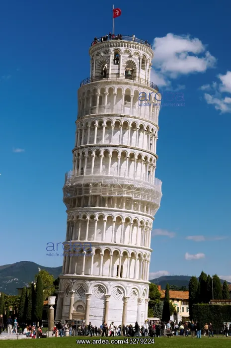 : Geografie, Italien, Toskana, Pisa, Campanile, Schiefer : Geografie, Italien, Toskana, Pisa, Campanile, Schiefer