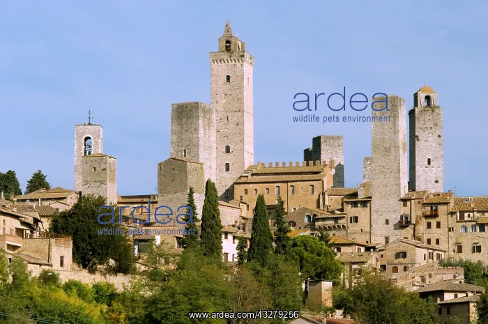  : Geografie, Italien, Toskana, San Gimignano, Geschlechtert&x