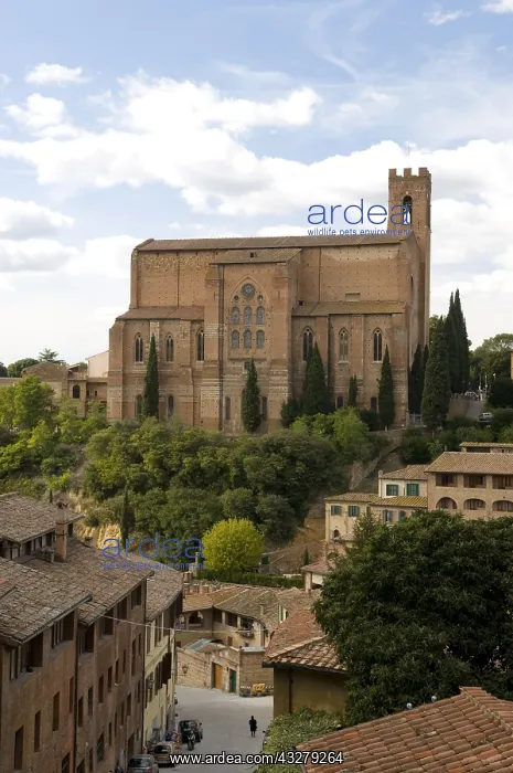 : Geografie, Italien, Toskana, Siena, Backstein-Basilika : Geografie, Italien, Toskana, Siena, Backstein-Basilika