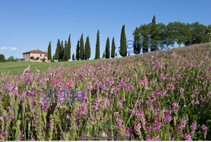 : Geografie, Italien, Toskana, Villa, - geography : Geografie, Italien, Toskana, Villa, - geography