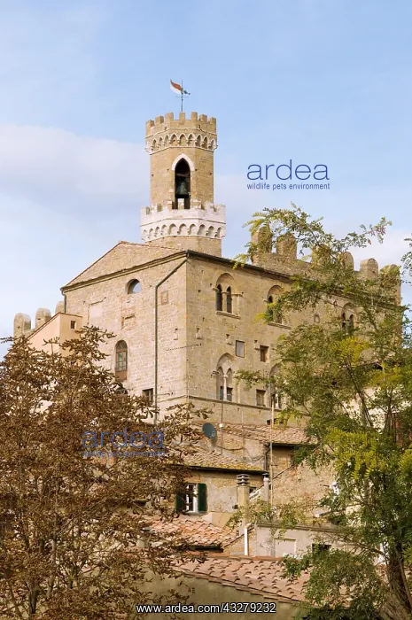 : Geografie, Italien, Toskana. Volterra, Palazzo : Geografie, Italien, Toskana. Volterra, Palazzo