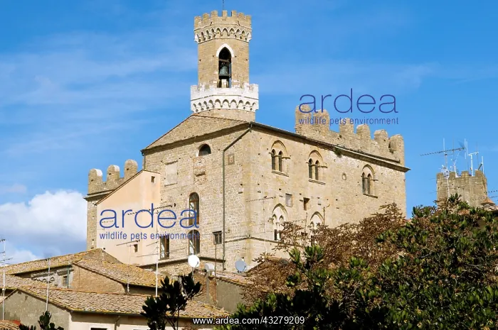 : Geografie, Italien, Toskana. Volterra, Stadtpalast : Geografie, Italien, Toskana. Volterra, Stadtpalast