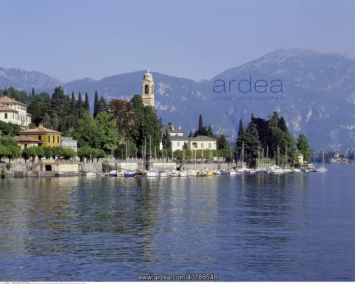 : Geografie, Italien, Tremezzo, Stadtansichten, Blick : Geografie, Italien, Tremezzo, Stadtansichten, Blick