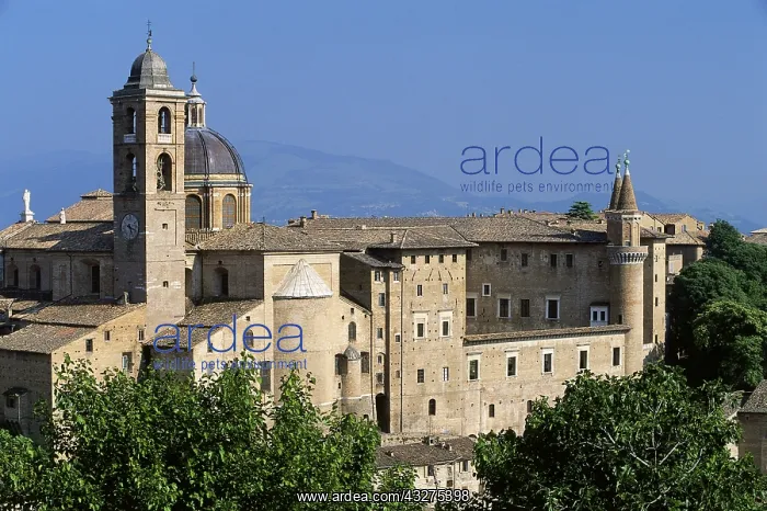 : Geografie, Italien, Urbino, Museen, Herzogspalast : Geografie, Italien, Urbino, Museen, Herzogspalast