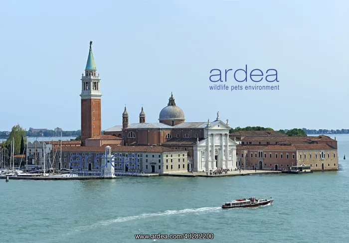 : Geografie, Italien, Venedig, San Girogio Maggiore : Geografie, Italien, Venedig, San Girogio Maggiore