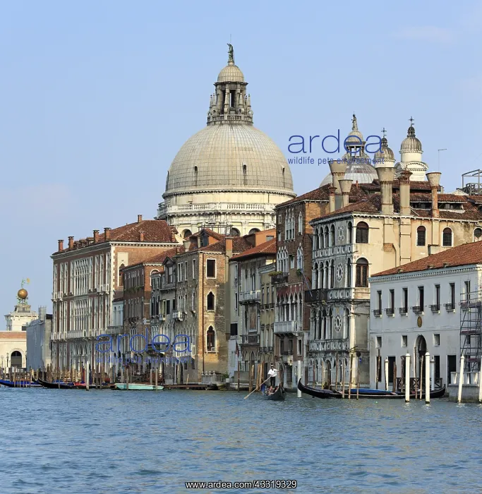 : Geografie, Italien, Venedig, Santa Maria della Salute : Geografie, Italien, Venedig, Santa Maria della Salute