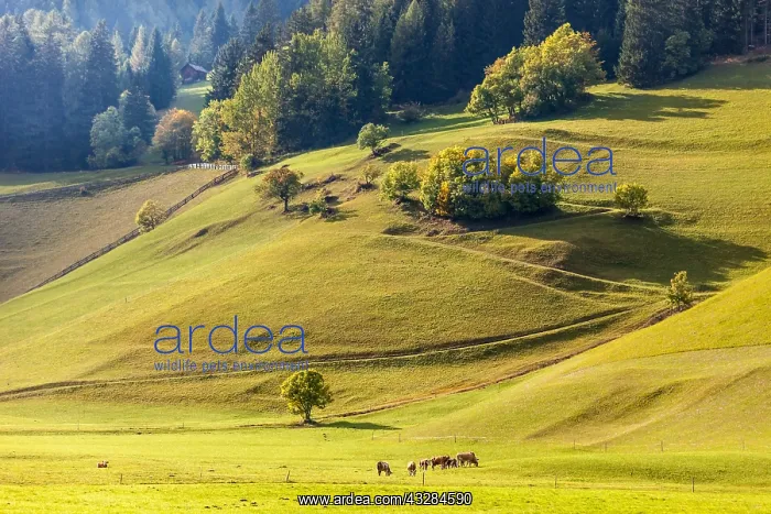 : Geografie, Italien, Wiesenh&x4ba7;e : Geografie, Italien, Wiesenh&x4ba7;e