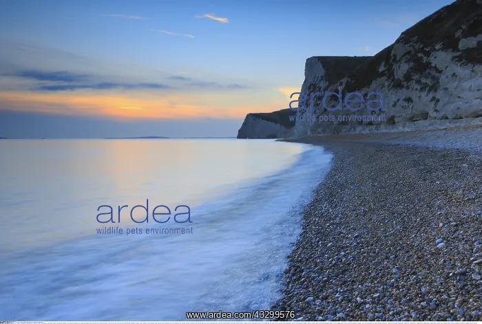 : Geografie, Jurassic Coast : Geografie, Jurassic Coast