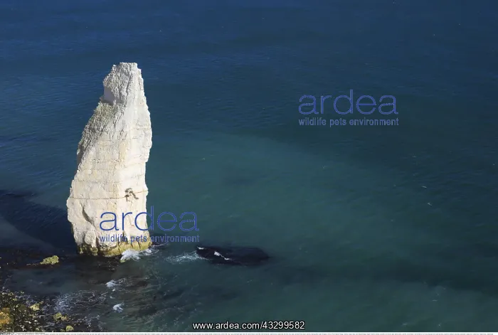: Geografie, Jurassic Coast : Geografie, Jurassic Coast